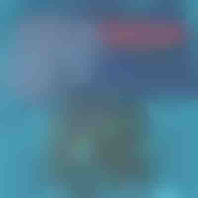 Rýchloschnúce plavky | TOGGIES