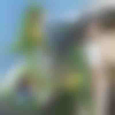 3D batoh v tvare dinosaura | DINOBACK