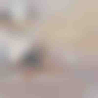 Nafukovacia Rozkladacia Pohovka na Posteľ | SOFLINKA