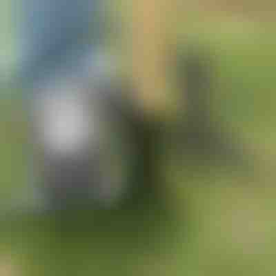 Nástroj na vytrhávanie buriny | ROOTNIK