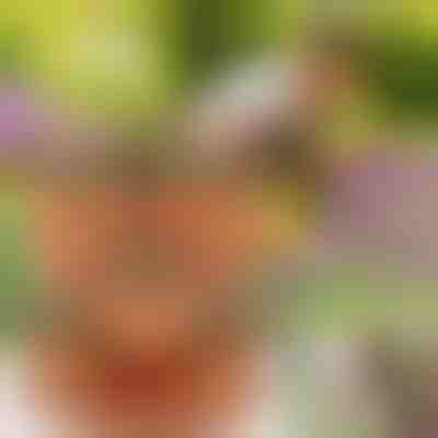 Výškovo nastaviteľné kvetináče (3x darab) | PLANTUP