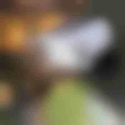 Solárny zameriavač so senzorom pohybu | LUMACAM