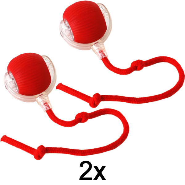 2x Hračka pre domáce zvieratá, ktorá sa pohybuje na dotyk | GATOPLAY