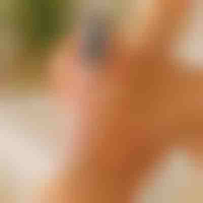 Elektrický pilník na nohy a odstraňovač kalusu - Mokré a suché použitie | PEDIVIA